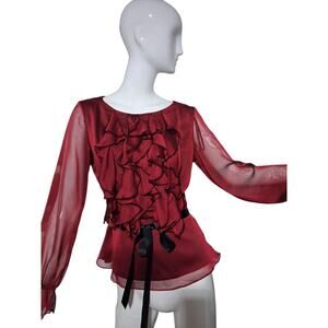 Y2K Whimsigoth Fairycore Witchy Women's size 4 Chiffon Ruffle Vampire Sheer Top